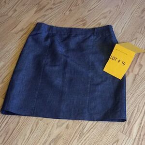 Pencil type skirt in blue by LOFT in size 8